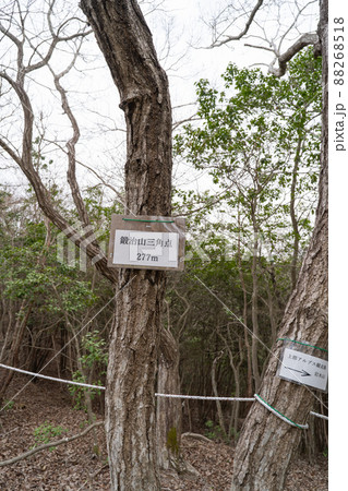 鍛冶山の山頂（上郡アルプス） 88268518