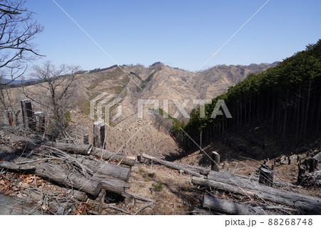 桐生市菱町から仙人ケ岳登山コースを登る。黒川左岸の尾根の仙人ケ岳登山道から対岸の前仙人ケ岳方面 桐生市菱町から仙人ケ岳登山コースを登る。黒川左岸の尾根の仙人ケ岳登山道から対岸の前仙人ケ岳方面 88268748
