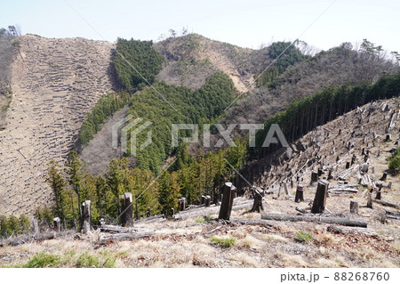 桐生市菱町から仙人ケ岳登山コースを登る。黒川左岸の尾根の小友沢ノ頭付近から、仙人ケ岳方面の尾根を見る 88268760