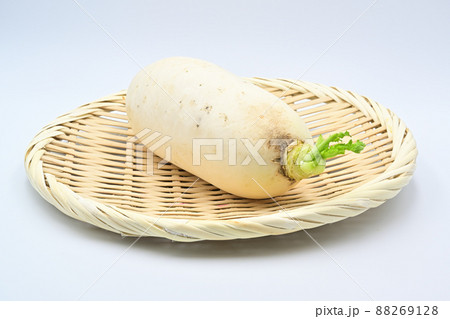 辛味大根 88269128