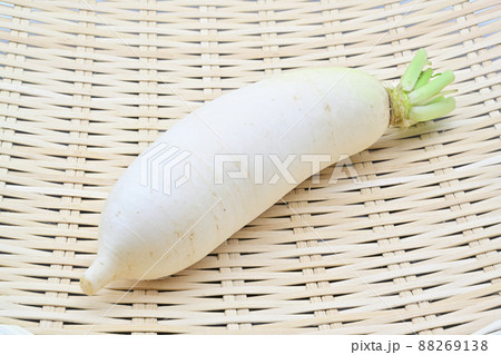 辛味大根 辛味大根 88269138