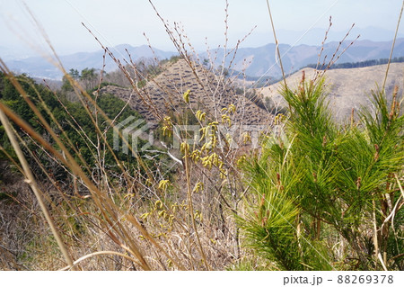桐生市菱町から仙人ケ岳登山コースを登る。白葉峠からの尾根から、西方面、桐生市方面を見る 88269378