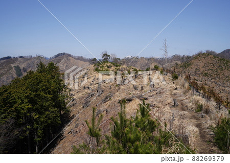 桐生市菱町から仙人ケ岳登山コースを登る。白葉峠からの尾根を、仙人ケ岳分岐を目指す 桐生市菱町から仙人ケ岳登山コースを登る。白葉峠からの尾根を、仙人ケ岳分岐を目指す 88269379