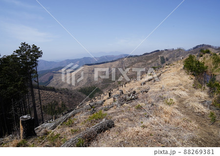 桐生市菱町から仙人ケ岳登山コースを登る。白葉峠からの尾根を、仙人ケ岳分岐を目指す 桐生市菱町から仙人ケ岳登山コースを登る。白葉峠からの尾根を、仙人ケ岳分岐を目指す 88269381