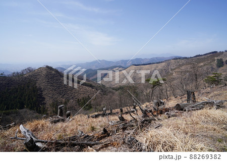 桐生市菱町から仙人ケ岳登山コースを登る。白葉峠からの尾根を、仙人ケ岳分岐を目指す 桐生市菱町から仙人ケ岳登山コースを登る。白葉峠からの尾根を、仙人ケ岳分岐を目指す 88269382