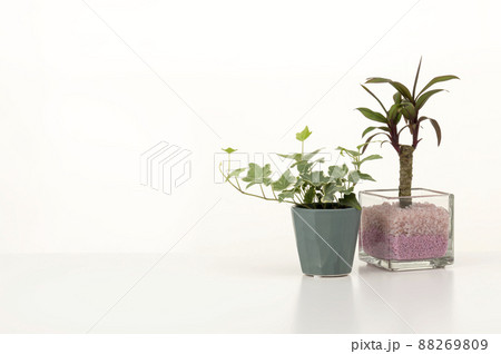 白テーブルに小物をのせたインテリアイメージ 88269809