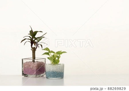 白テーブルに小物をのせたインテリアイメージ 88269829