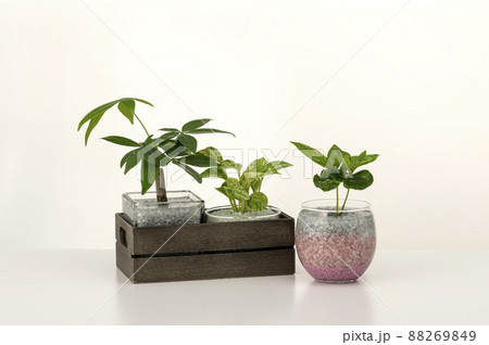 白テーブルに小物をのせたインテリアイメージ 白テーブルに小物をのせたインテリアイメージ 88269849