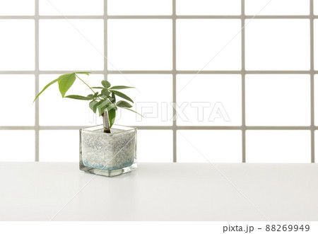 窓とテーブルの室内イメージ 88269949