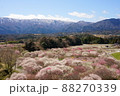 いなべ市梅林公園と鈴鹿山脈 88270339