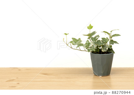 床と白壁のインテリアイメージ 88270944