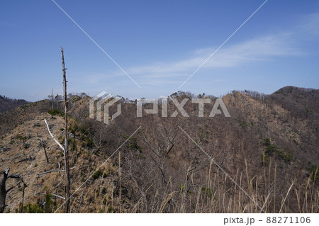 桐生市菱町から仙人ケ岳登山コースを登る。荒倉山山頂から、仙人ケ岳分岐に連なる尾根を見る 88271106