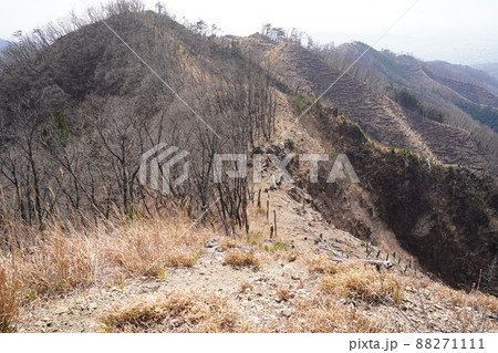 桐生市菱町から仙人ケ岳登山コースを登る。荒倉山山頂から、仙人ケ岳への分岐方面の尾根を見る 88271111