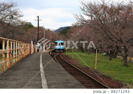 ローカル鉄道散策・8 樽見鉄道(岐阜県揖斐郡揖斐川町岐礼) ローカル鉄道散策・8 樽見鉄道(岐阜県揖斐郡揖斐川町岐礼) 88271293