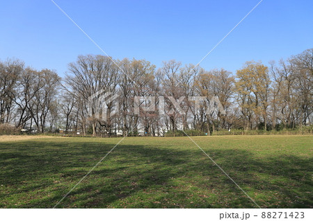 赤塚城跡　東京都板橋区赤塚　 88271423