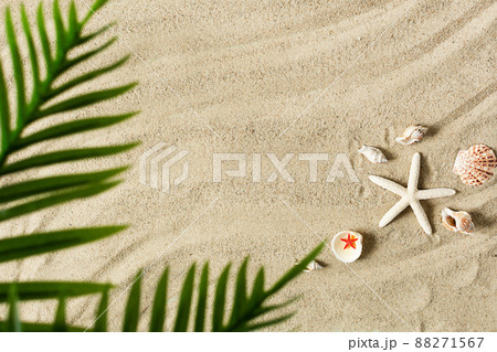 Sea sand with starfish and shells top view with palm leaf. Summer beach background. 88271567