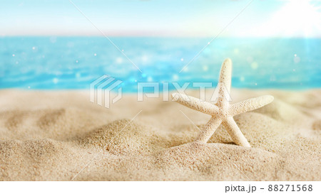 Caribbean white Starfish on sand beach over turquoise ocean. 88271568
