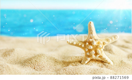 Caribbean golden Starfish on sand beach over turquoise ocean. 88271569