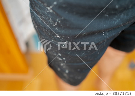 黒い服についたほこりが目立つ 88271713