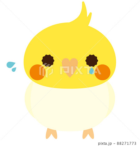 オカメインコ　ルチノー　悲しい 88271773