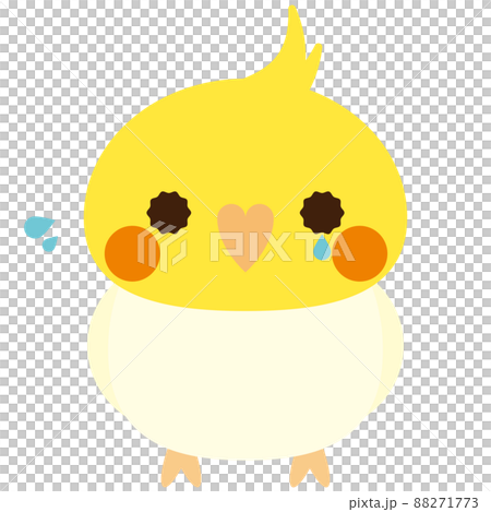 オカメインコ　ルチノー　悲しい 88271773