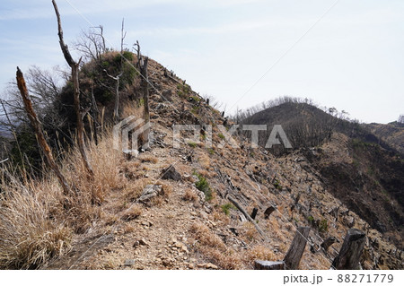 桐生市菱町から仙人ケ岳登山コースを登る。荒倉山山頂から、仙人ケ岳への分岐方面へ、尾根を進む 桐生市菱町から仙人ケ岳登山コースを登る。荒倉山山頂から、仙人ケ岳への分岐方面へ、尾根を進む 88271779