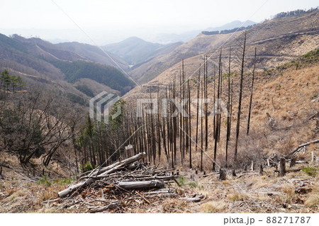 桐生市菱町から仙人ケ岳登山コースを登る。荒倉山から、仙人ケ岳への分岐方面へ、尾根を進み黒川右岸を見る 桐生市菱町から仙人ケ岳登山コースを登る。荒倉山から、仙人ケ岳への分岐方面へ、尾根を進み黒川右岸を見る 88271787