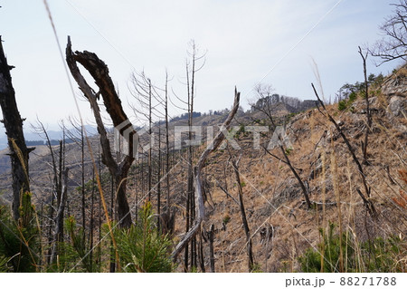 桐生市菱町から仙人ケ岳登山コースを登る。仙人ケ岳への分岐付近から黒川右岸を見る 桐生市菱町から仙人ケ岳登山コースを登る。仙人ケ岳への分岐付近から黒川右岸を見る 88271788