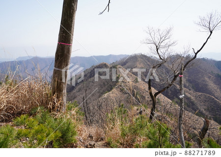桐生市菱町から仙人ケ岳登山コースを登る。仙人ケ岳への分岐付近から黒川左岸の尾根の登山道方面を見る 88271789