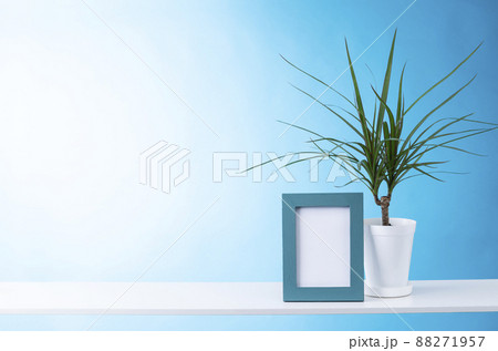 棚と観葉植物の部屋イメージ 棚と観葉植物の部屋イメージ 88271957