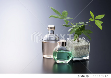 観葉植物とオブジェ 88272042