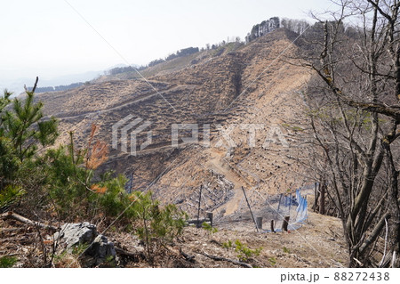 桐生市菱町から仙人ケ岳登山コースを登る。仙人ケ岳への分岐を直進し、右岸の尾根を行く。正面は前仙人ケ岳 88272438