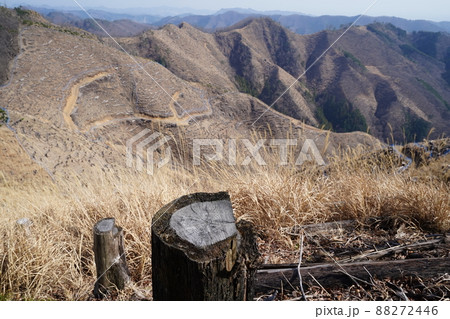 桐生市菱町から仙人ケ岳登山コース。黒川右岸の尾根を行く。尾根途中から黒川左岸の尾根を見る 桐生市菱町から仙人ケ岳登山コース。黒川右岸の尾根を行く。尾根途中から黒川左岸の尾根を見る 88272446