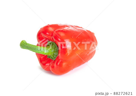 赤いパブリカ【白背景】 赤いパブリカ【白背景】 88272621