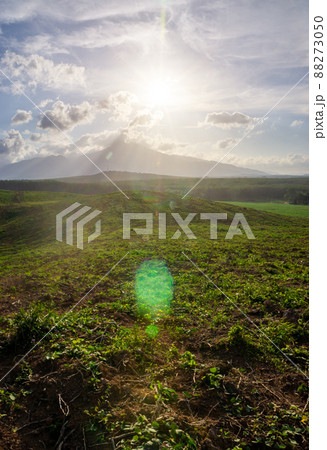 Rubber plantation farming area in the south of Thailand, Rubber plantation farming area in the south of Thailand, 88273050