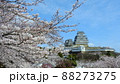 姫路城と桜 88273275