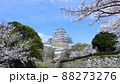 姫路城と桜 88273276