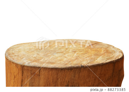 tree stump isolated on white background 88273385