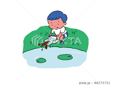 ザリガニを放流する子供 88273731