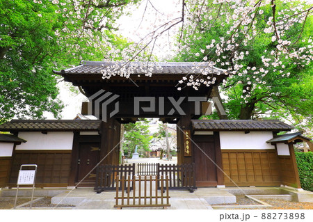 府中市安養寺 桜 府中市安養寺 桜 88273898