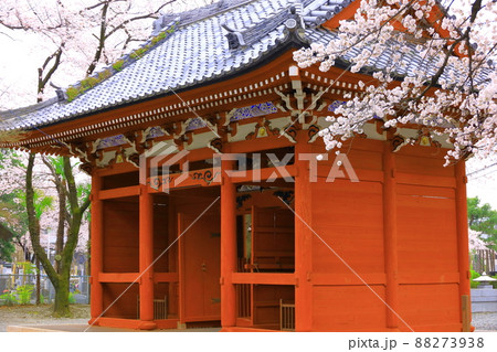 府中市安養寺　桜 88273938