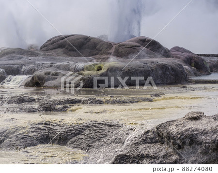 ニュージーランド テプイア ポフツ間欠泉 / Pohutu Geyser, Te Puia, NZ 88274080