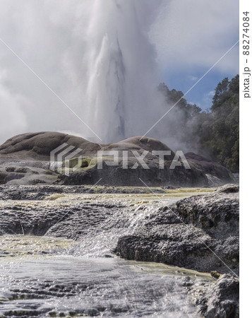 ニュージーランド テプイア ポフツ間欠泉 / Pohutu Geyser, Te Puia, NZ 88274084