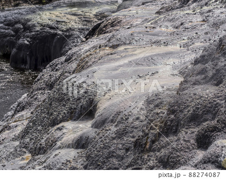 ニュージーランド テプイア ポフツ間欠泉 / Pohutu Geyser, Te Puia, NZ ニュージーランド テプイア ポフツ間欠泉 / Pohutu Geyser, Te Puia, NZ 88274087