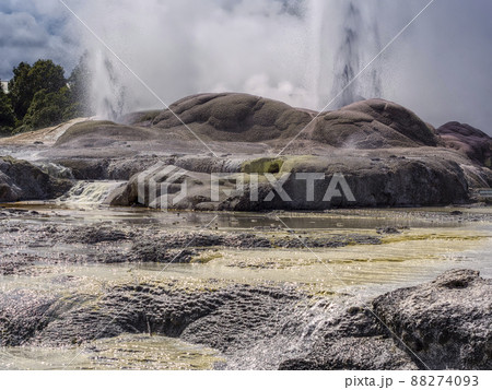 ニュージーランド テプイア ポフツ間欠泉 / Pohutu Geyser, Te Puia, NZ ニュージーランド テプイア ポフツ間欠泉 / Pohutu Geyser, Te Puia, NZ 88274093
