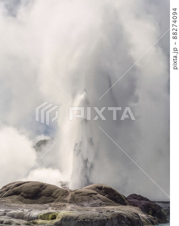 ニュージーランド テプイア ポフツ間欠泉 / Pohutu Geyser, Te Puia, NZ ニュージーランド テプイア ポフツ間欠泉 / Pohutu Geyser, Te Puia, NZ 88274094