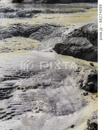 ニュージーランド テプイア ポフツ間欠泉 / Pohutu Geyser, Te Puia, NZ 88274099