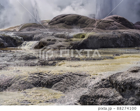 ニュージーランド テプイア ポフツ間欠泉 / Pohutu Geyser, Te Puia, NZ ニュージーランド テプイア ポフツ間欠泉 / Pohutu Geyser, Te Puia, NZ 88274100
