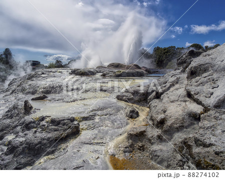 ニュージーランド テプイア ポフツ間欠泉 / Pohutu Geyser, Te Puia, NZ 88274102
