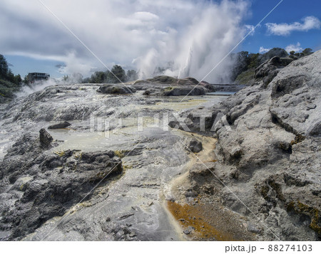 ニュージーランド テプイア ポフツ間欠泉 / Pohutu Geyser, Te Puia, NZ 88274103
